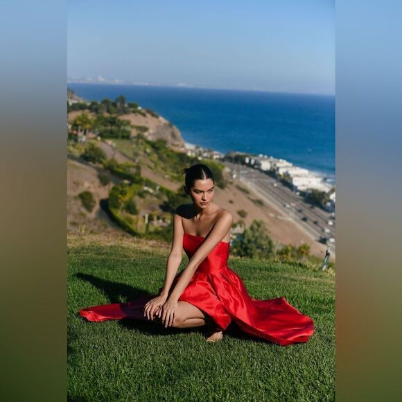 New Anthropologie Hutch Strapless High-Low Bubble Dress/ size 4P - Picture 12 of 14